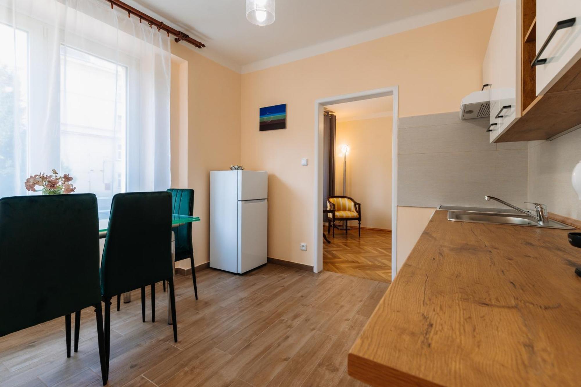 Apartments Tgm 11 カルロヴィ・ヴァリ エクステリア 写真